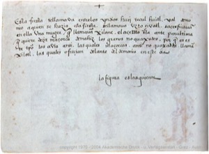 Códice Magliabecchiano, — Lámina, nº 72 — Anónimo tlacuilo (Códice Magliabecchiano)