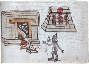 Códice Magliabecchiano, — Lámina, nº 81 — Anónimo tlacuilo (Códice Magliabecchiano)