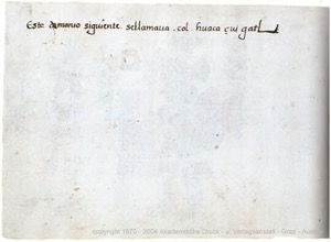 Códice Magliabecchiano, — Lámina, nº 114 — Anónimo tlacuilo (Códice Magliabecchiano)