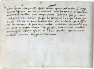 Códice Magliabecchiano, — Lámina, nº 134 — Anónimo tlacuilo (Códice Magliabecchiano)