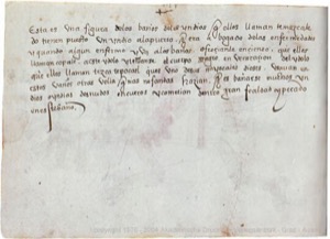 Códice Magliabecchiano, — Lámina, nº 156 — Anónimo tlacuilo (Códice Magliabecchiano)
