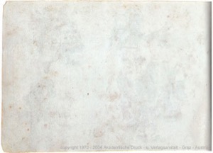 Códice Magliabecchiano, — Lámina, nº 182 — Anónimo tlacuilo (Códice Magliabecchiano)
