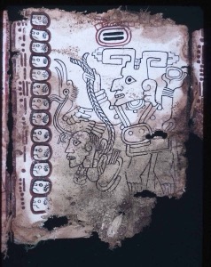 Iiif internetarchive mayamexico, nº 4 — Anónimo escriba maya