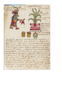 Lámina — Códice Tudela — Anónimo tlacuilo mexica (Códice Tudela)