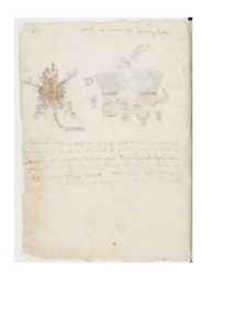 Lámina — Códice Tudela — Anónimo tlacuilo mexica (Códice Tudela)