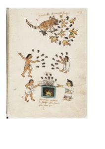 Lámina — Códice Tudela — Anónimo tlacuilo mexica (Códice Tudela)