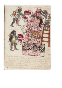 Lámina — Códice Tudela — Anónimo tlacuilo mexica (Códice Tudela)