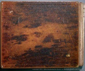 Cubierta de libro antiguo con textura de madera y desgaste — Anónimo tlacuilo, tradición mixteca