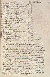 Iiif Realbiblioteca Fiestasdemonio, página — Anónimo novohispano