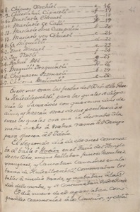 Lista de Indios en una comunidad colonial — Anónimo novohispano