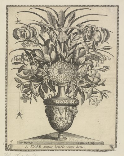 R de Bry — Theodor de Bry