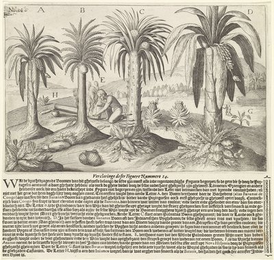 Grandes viajes, lámina, nº 1593 — Theodor de Bry