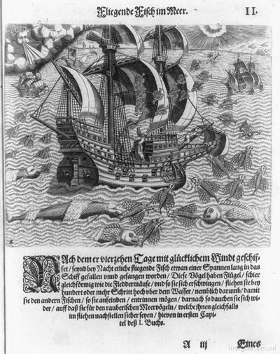 Grandes viajes, lámina 1746