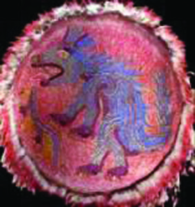 Representación de un ser mitológico en un escudo prehispánico — Anónimo tlacuilo mexica