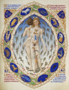 Representación astrológica del cuerpo humano — Anatomical