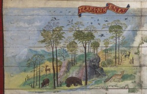 Ilustración de fauna y flora en un paisaje pintoresco — Atlas Miller