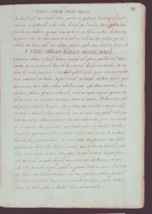 Una página de un antiguo manuscrito o libro — Anónimo maya