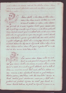 Página de un antiguo manuscrito con texto manuscrito en columnas — Anónimo maya