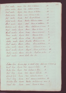 Página manuscrita de un libro de registro o inventario — Anónimo maya
