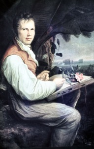 Retrato de un artista en su estudio al aire libre — Anónimo