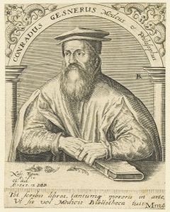 Retrato de Conrad Gesner, Médico y Filósofo — Tobias Stimmer (posiblemente)