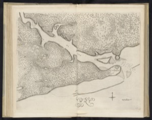 Mapa de una costa con río y vegetación — Cartógrafo anónimo (siglo XVII)