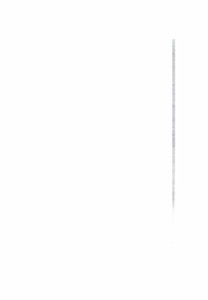Una composición minimalista dominada por un fondo blanco inmaculado — Anónimo novohispano