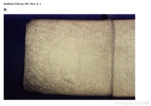Imagenes extraidas co dice bodley 006 300dpi