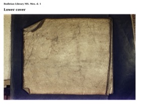 Cubierta inferior de un manuscrito antiguo — Anónimo mixteco