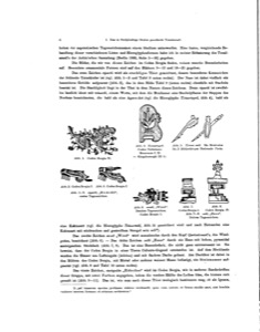 Varias ilustraciones técnicas en blanco y negro de componentes mecánicos — Tlacuilo anónimo, tradición mixteca-puebla (Códice Borgia)