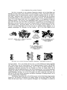 Reproducciones en blanco y negro de glifos y símbolos mesoamericanos — Tlacuilo anónimo, tradición mixteca-puebla (Códice Borgia)