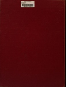 Portada de libro de terciopelo granate — Tlacuilo anónimo, tradición mixteca-puebla (Códice Borgia)