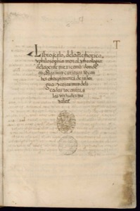 Página de un antiguo manuscrito con texto caligráfico en español — Bernardino de Sahagún