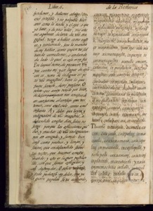 Página de un códice antiguo con escritura cursiva y ornamental — Bernardino de Sahagún