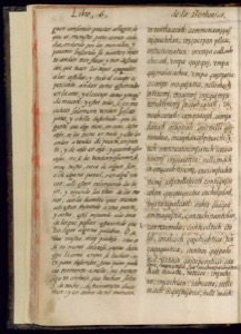 Página abierta de un antiguo manuscrito o libro impreso — Bernardino de Sahagún