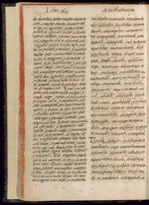 Páginas abiertas de un antiguo libro o manuscrito — Bernardino de Sahagún