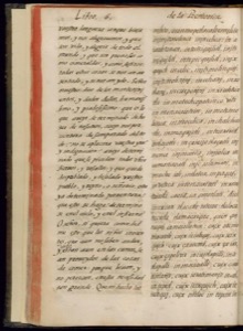 Página de un antiguo manuscrito o libro — Bernardino de Sahagún