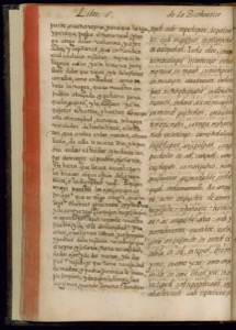 Página de un códice o manuscrito antiguo — Bernardino de Sahagún