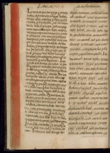 Página de un manuscrito o libro antiguo — Bernardino de Sahagún