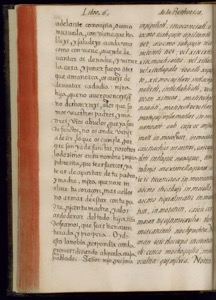Lámina — Códice Florentino — Bernardino de Sahagún