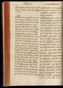 Página de un manuscrito antiguo con texto en castellano — Bernardino de Sahagún