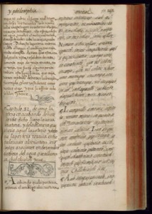 Manuscrito antiguo con texto en español dispuesto en dos columnas — Bernardino de Sahagún
