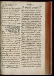 Página de un libro antiguo con texto impreso en dos — Bernardino de Sahagún