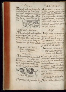 Página de un libro antiguo impreso — Bernardino de Sahagún