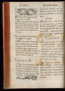 Página abierta de un antiguo libro impreso — Bernardino de Sahagún