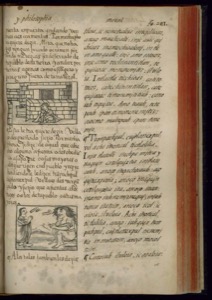 Página ilustrada de un códice antiguo con texto en náhuatl — Bernardino de Sahagún