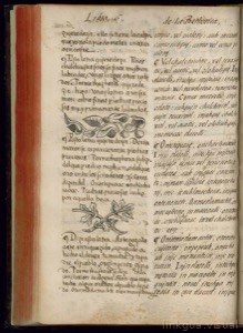 Códice Florentino, lámina 427