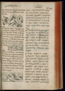 Lámina — Códice Florentino — Bernardino de Sahagún