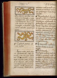 Lámina — Códice Florentino — Bernardino de Sahagún
