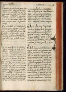 Página manuscrita de un códice antiguo — Bernardino de Sahagún